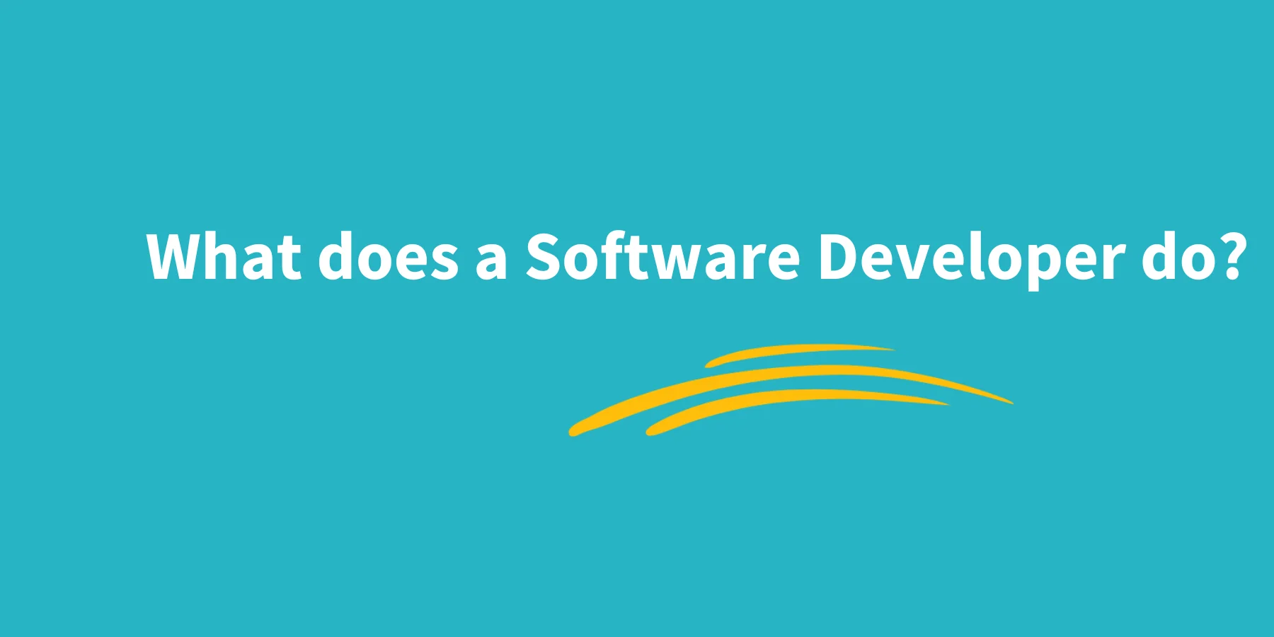 What does a software developer do