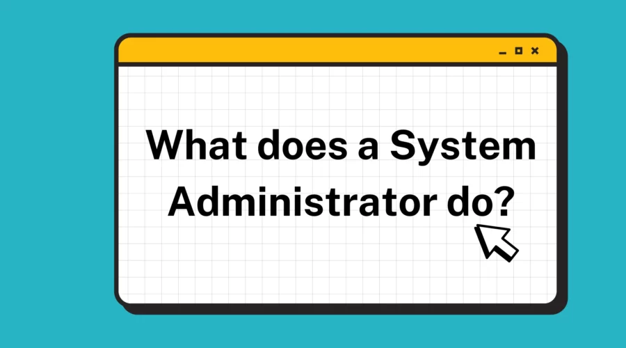 What does a System Administrator do?