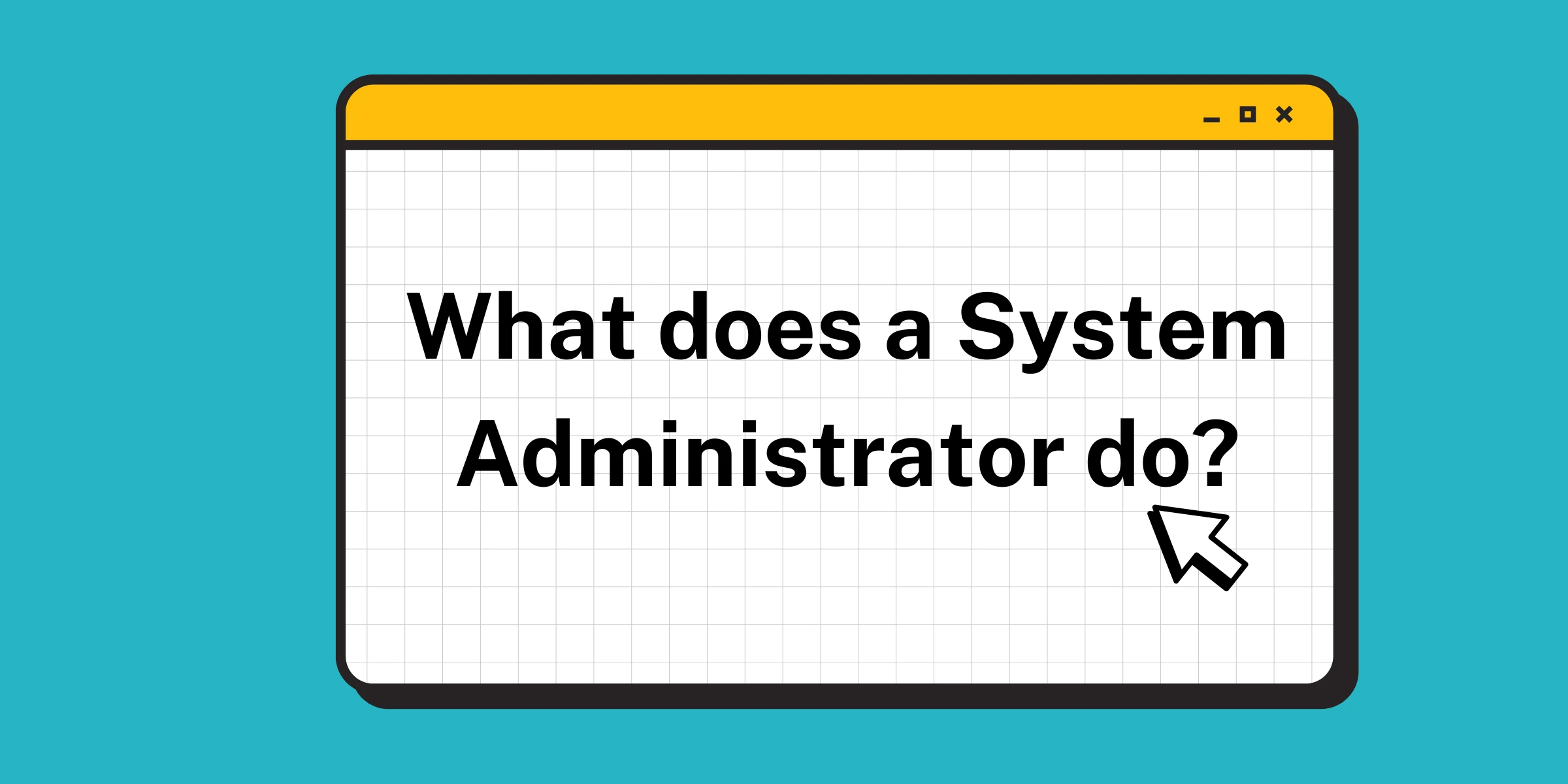 What does a System Administrator do?